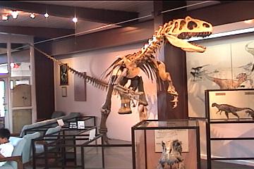 Tiranosaurs